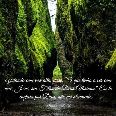 Picture 03 - Marcos 5:7 BSL - e gritando com voz alta, disse: “O que tenho a - Bible Verse Picture