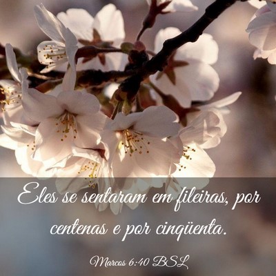 Picture 03 - Marcos 6:40 BSL - Eles se sentaram em fileiras, por centenas e por - Bible Verse Picture