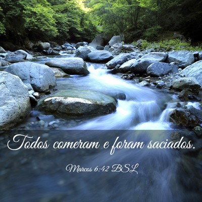 Picture 03 - Marcos 6:42 BSL - Todos comeram e foram - Bible Verse Picture