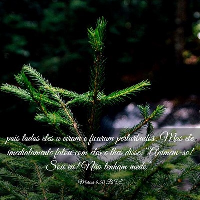 Picture 03 - Marcos 6:50 BSL - pois todos eles o viram e ficaram perturbados. - Bible Verse Picture