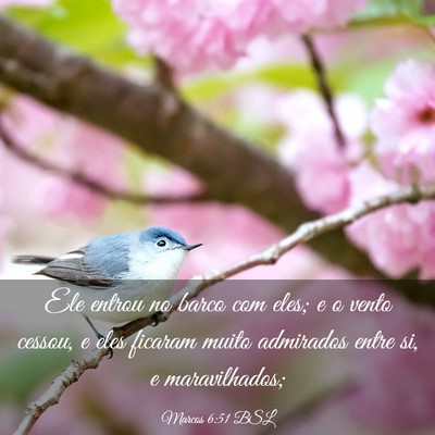 Picture 03 - Marcos 6:51 BSL - Ele entrou no barco com eles; e o vento cessou, e - Bible Verse Picture