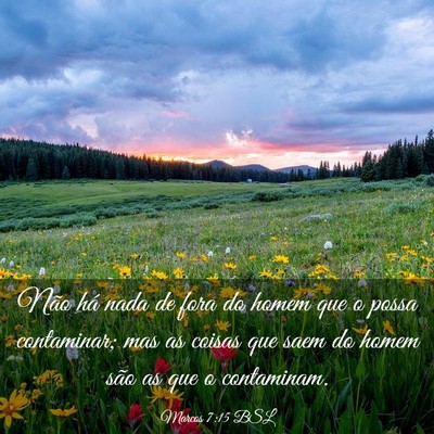 Picture 03 - Marcos 7:15 BSL - Não há nada de fora do homem que o possa - Bible Verse Picture