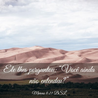 Picture 03 - Marcos 8:21 BSL - Ele lhes perguntou: “Você ainda não - Bible Verse Picture