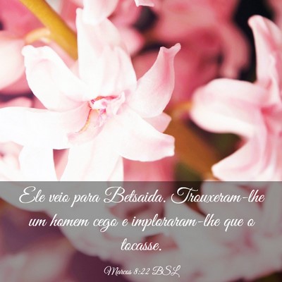 Picture 03 - Marcos 8:22 BSL - Ele veio para Betsaida. Trouxeram-lhe um homem - Bible Verse Picture