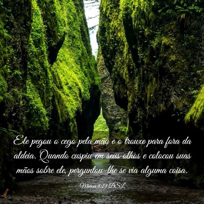 Picture 03 - Marcos 8:23 BSL - Ele pegou o cego pela mão e o trouxe para fora - Bible Verse Picture
