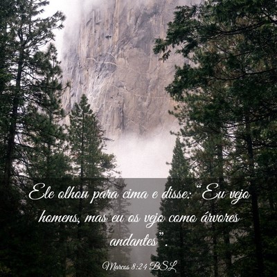 Picture 03 - Marcos 8:24 BSL - Ele olhou para cima e disse: “Eu vejo homens, - Bible Verse Picture