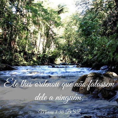 Picture 03 - Marcos 8:30 BSL - Ele lhes ordenou que não falassem dele a - Bible Verse Picture
