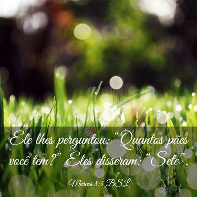 Picture 03 - Marcos 8:5 BSL - Ele lhes perguntou: “Quantos pães você - Bible Verse Picture