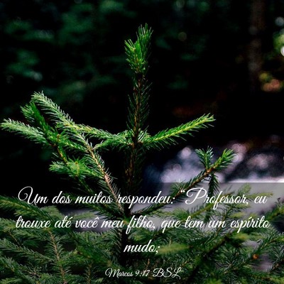 Picture 03 - Marcos 9:17 BSL - Um dos muitos respondeu: “Professor, eu trouxe - Bible Verse Picture