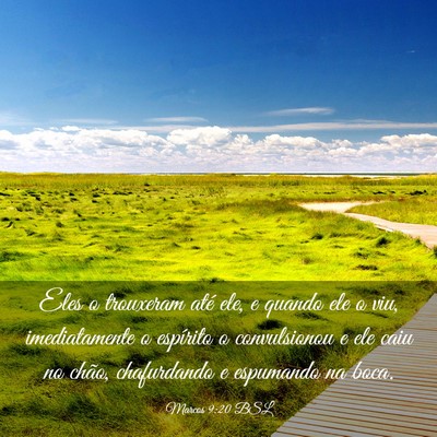 Picture 03 - Marcos 9:20 BSL - Eles o trouxeram até ele, e quando ele o viu, - Bible Verse Picture
