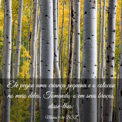 Picture 03 - Marcos 9:36 BSL - Ele pegou uma criança pequena e o colocou no - Bible Verse Picture
