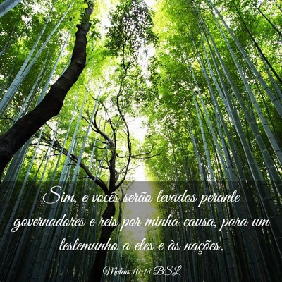 Picture 03 - Mateus 10:18 BSL - Sim, e vocês serão levados perante governadores - Bible Verse Picture
