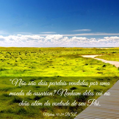 Picture 03 - Mateus 10:29 BSL - “Não são dois pardais vendidos por uma moeda - Bible Verse Picture