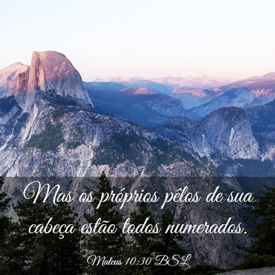 Picture 03 - Mateus 10:30 BSL - Mas os próprios pêlos de sua cabeça estão - Bible Verse Picture