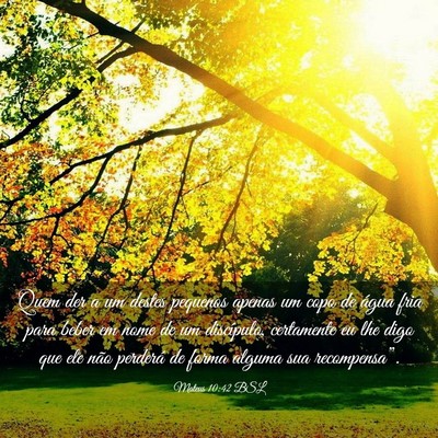 Picture 03 - Mateus 10:42 BSL - Quem der a um destes pequenos apenas um copo de - Bible Verse Picture