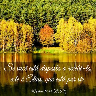 Picture 03 - Mateus 11:14 BSL - Se você está disposto a recebê-lo, este é - Bible Verse Picture