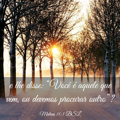 Picture 03 - Mateus 11:3 BSL - e lhe disse: “Você é aquele que vem, ou - Bible Verse Picture