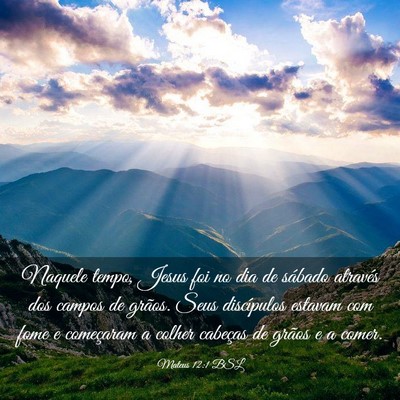 Picture 03 - Mateus 12:1 BSL - Naquele tempo, Jesus foi no dia de sábado - Bible Verse Picture