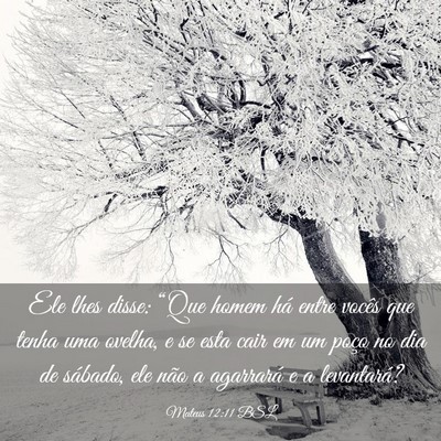 Picture 03 - Mateus 12:11 BSL - Ele lhes disse: “Que homem há entre vocês que - Bible Verse Picture