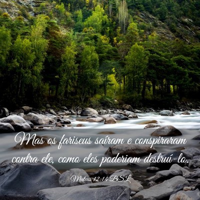 Picture 03 - Mateus 12:14 BSL - Mas os fariseus saíram e conspiraram contra ele, - Bible Verse Picture