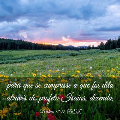 Picture 03 - Mateus 12:17 BSL - para que se cumprisse o que foi dito através do - Bible Verse Picture