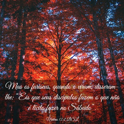 Picture 03 - Mateus 12:2 BSL - Mas os fariseus, quando o viram, disseram-lhe: - Bible Verse Picture