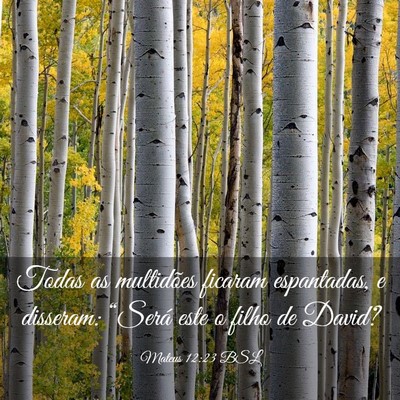 Picture 03 - Mateus 12:23 BSL - Todas as multidões ficaram espantadas, e - Bible Verse Picture