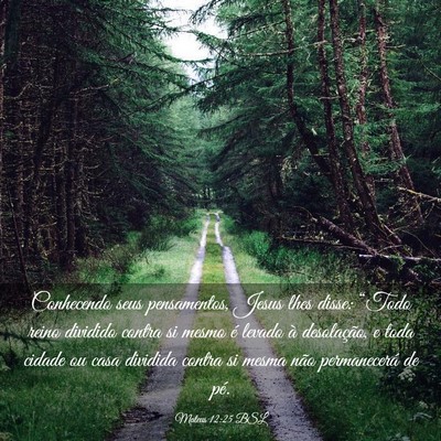 Picture 03 - Mateus 12:25 BSL - Conhecendo seus pensamentos, Jesus lhes disse: - Bible Verse Picture