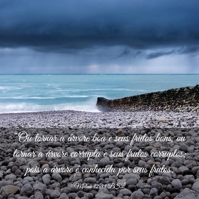 Picture 03 - Mateus 12:33 BSL - “Ou tornar a árvore boa e seus frutos bons, ou - Bible Verse Picture