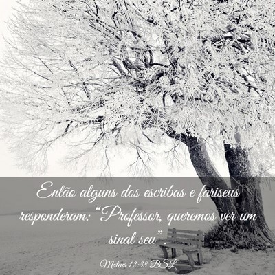 Picture 03 - Mateus 12:38 BSL - Então alguns dos escribas e fariseus - Bible Verse Picture
