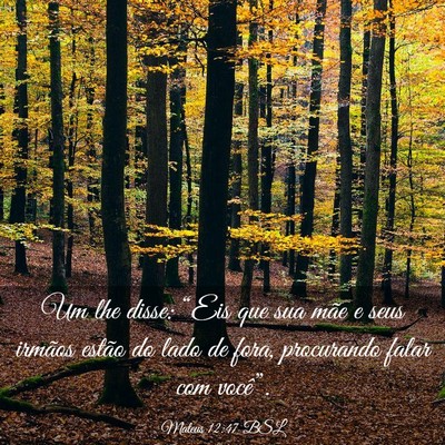 Picture 03 - Mateus 12:47 BSL - Um lhe disse: “Eis que sua mãe e seus irmãos - Bible Verse Picture