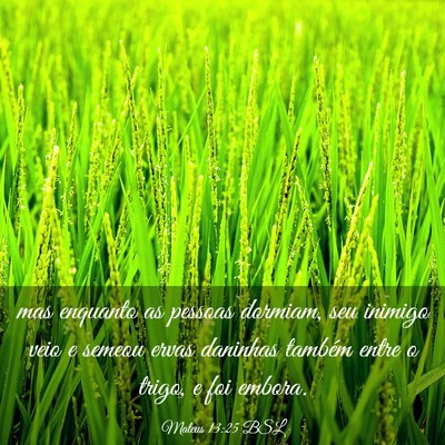 Picture 03 - Mateus 13:25 BSL - mas enquanto as pessoas dormiam, seu inimigo veio - Bible Verse Picture