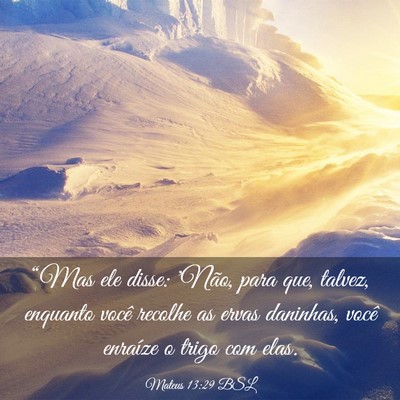 Picture 03 - Mateus 13:29 BSL - “Mas ele disse: 'Não, para que, talvez, - Bible Verse Picture