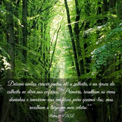 Picture 03 - Mateus 13:30 BSL - Deixem ambos crescer juntos até a colheita, e na - Bible Verse Picture