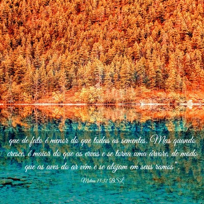 Picture 03 - Mateus 13:32 BSL - que de fato é menor do que todas as sementes. - Bible Verse Picture
