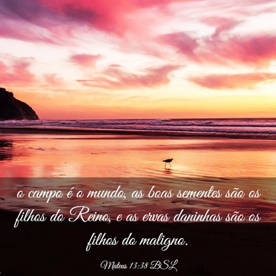 Picture 03 - Mateus 13:38 BSL - o campo é o mundo, as boas sementes são os - Bible Verse Picture