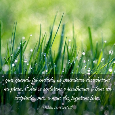 Picture 03 - Mateus 13:48 BSL - que, quando foi enchido, os pescadores desenharam - Bible Verse Picture