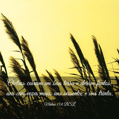 Picture 03 - Mateus 13:8 BSL - Outros caíram em boa terra e deram frutos: uns - Bible Verse Picture