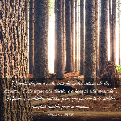 Picture 03 - Mateus 14:15 BSL - Quando chegou a noite, seus discípulos vieram - Bible Verse Picture