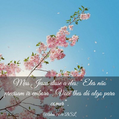Picture 03 - Mateus 14:16 BSL - Mas Jesus disse a eles: “Eles não precisam ir - Bible Verse Picture