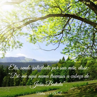 Picture 03 - Mateus 14:8 BSL - Ela, sendo solicitada por sua mãe, disse: - Bible Verse Picture