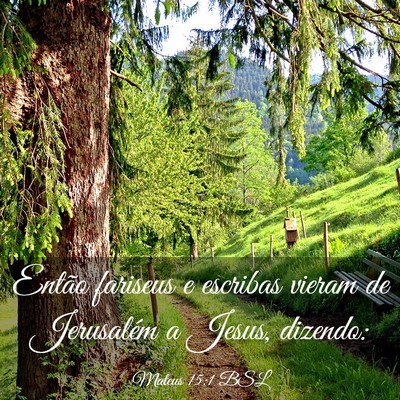Picture 03 - Mateus 15:1 BSL - Então fariseus e escribas vieram de Jerusalém a - Bible Verse Picture
