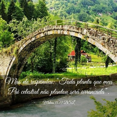 Picture 03 - Mateus 15:13 BSL - Mas ele respondeu: “Toda planta que meu Pai - Bible Verse Picture