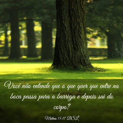 Picture 03 - Mateus 15:17 BSL - Você não entende que o que quer que entre na - Bible Verse Picture