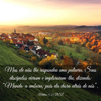 Picture 03 - Mateus 15:23 BSL - Mas ele não lhe respondeu uma palavra. Seus - Bible Verse Picture