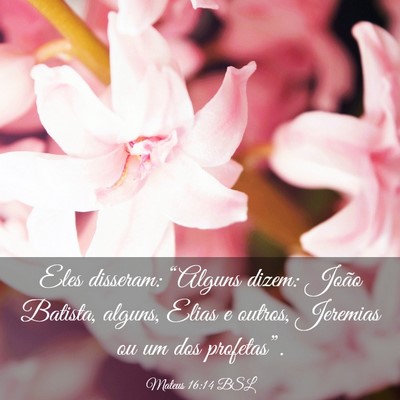 Picture 03 - Mateus 16:14 BSL - Eles disseram: “Alguns dizem: João Batista, - Bible Verse Picture