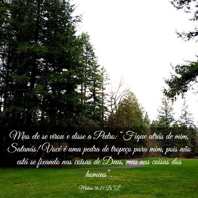 Picture 03 - Mateus 16:23 BSL - Mas ele se virou e disse a Pedro: “Fique atrás - Bible Verse Picture
