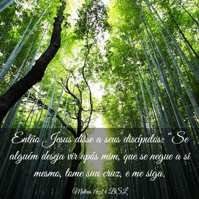 Picture 03 - Mateus 16:24 BSL - Então Jesus disse a seus discípulos: “Se - Bible Verse Picture