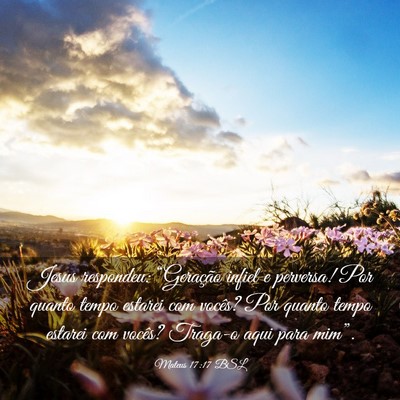 Picture 03 - Mateus 17:17 BSL - Jesus respondeu: “Geração infiel e perversa! - Bible Verse Picture