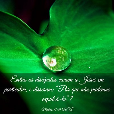 Picture 03 - Mateus 17:19 BSL - Então os discípulos vieram a Jesus em - Bible Verse Picture